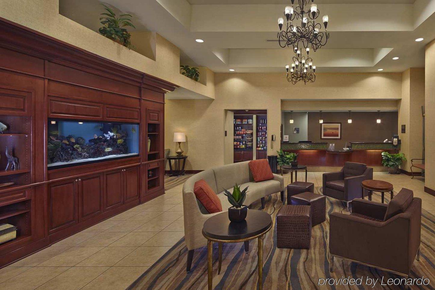 Homewood Suites By Hilton Daytona Beach Speedway-Airport מראה חיצוני תמונה